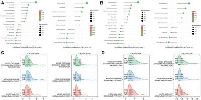 Identification of CXCL10 and CXCL11 as the candidate genes involving the development of colitis-associated colorectal cancer